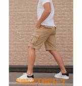 ����� Aviator | ���� coyote